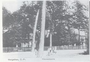Metgethen, Ort und Bahnstation, Stadtkreis Königsberg Metgethen, Villenwaldpartie 