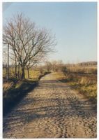 Kronau Kr. Lötzen, Kreis Lötzen Kronau Kr. Lötzen, Straße in Richtung Partsch Кронау, округ Лётцен, дорога в направлении Парча