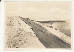  Kurische Nehrung, Blick von den Wanderdünen auf Pillkoppen II Куршская коса, вид с блуждающих дюн на Пилькоппен, II