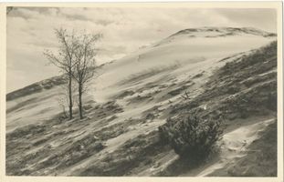  Kurische Nehrung, Wanderdünen - Tod der Natur Kurische Nehrung, Dünen