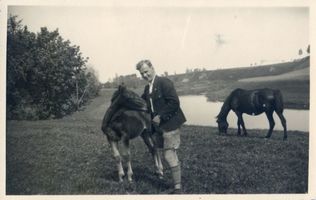 Fichtenhöhe, Kreis Schloßberg Fichtenhöhe, Fohlen auf der Weide II 