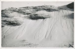  Kurische Nehrung, Herabfließender Sand nach Regen und Sturm Kurische Nehrung, Dünen