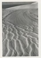  Kurische Nehrung, Dünen, Sandstrukturen,  Sandriffel zeigen deutlich die Bahnen des formenden Windes Kurische Nehrung, Dünen, Sandstrukturen