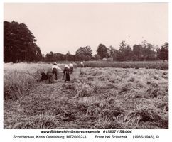 Schrötersau, Kreis Ortelsburg 