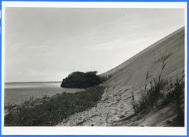 Nidden, Kreis Memel Nidden, Haff und Düne Nidden, Landschaft - Ostsee - Umgebung