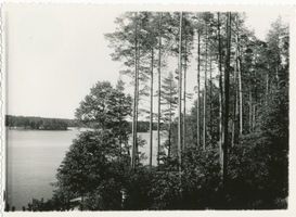  Masuren, Partie am Niedersee bei Rudczanny II Masuren, Niedersee