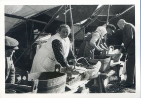 Cranz Kr. Samland, Ort, Kreis Samland Cranz Kr. Samland, Fischmarkt mit geräucherten Flundern, Aalen und Dorsch Cranz, Fischerei