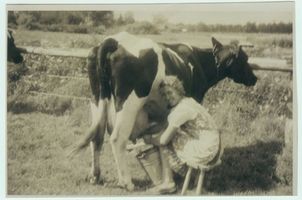 Schönlinde Kr. Gerdauen, Kreis Gerdauen 