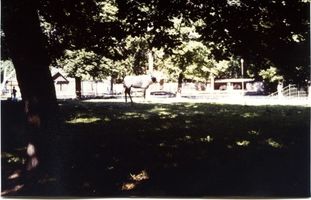 Königsberg (Pr.), Stadtkreis Königsberg 