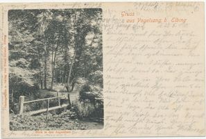 Vogelsang Stadtkr. Elbing, Stadtkreis Elbing Vogelsang Stadtkr. Elbing, Blick in den Augusthain 