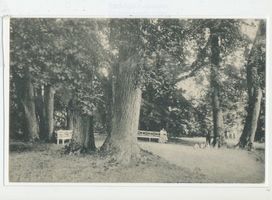 Kukehnen Kr. Heiligenbeil, Gut, Kreis Heiligenbeil Kukehnen Kr. Heiligenbeil, Gut, Park 