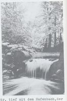 Königsberg (Pr.), Stadtkreis Königsberg Königsberg , Tiergarten, Freigrabenschlucht Кёнигсберг, Зоопарк, овраг со свободно текущим ручьём