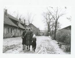 Metgethen, Gut und Ziegelei, Stadtkreis Königsberg Metgethen, Gut, II Метгетен, имение, II