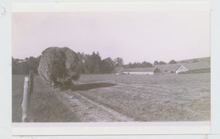 Obrotten, Kreis Samland Obrotten, Erntewagen auf dem Weg zum Gutshof, rechts Insthäuser mit Stall 