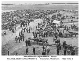 Tilsit, Stadt, Stadtkreis Tilsit Friedrichstraße