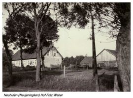 Naujeningken, Kreis Tilsit-Ragnit 