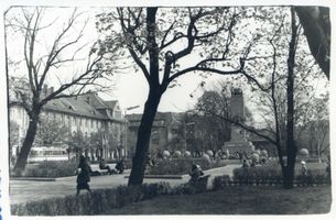 Memel, Stadt, Stadtkreis Memel Hindenburgplatz Memel, Hindenburgplatz, jetzt Leninplatz Мемель, Гинденбургплац, ныне площадь Ленина