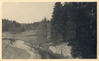  Rominter Heide, Blick von Bellevue III 