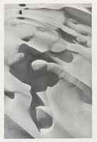  Kurische Nehrung, Dünen, Abstrakte Skulpturen des gestaltenden Windes im feuchten Sand Kurische Nehrung, Dünen, Sandstrukturen
