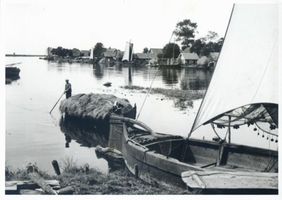Elchwerder Kr. Labiau, Ort, Kreis Labiau Elchwerder Kr. Labiau, Heuernte mit dem Boot Labiau, Orte im Kreis