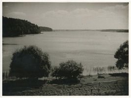  Drewenzsee bei Pillauken II Древенцзее у Пиллаукен, II