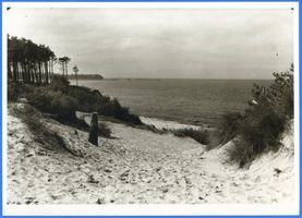 Neukuhren, Kreis Samland Neukuhren, Strand XII Нойкурен, пляж, XII