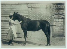 Schönlinde Kr. Gerdauen, Kreis Gerdauen 