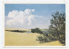  Kurische Nehrung, Dünen VII Kurische Nehrung, Dünen