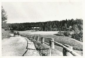  Rominter Heide, Fuhrweg nach dem Jagdhaus Rominten 
