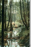 Neukuhren, Kreis Samland 