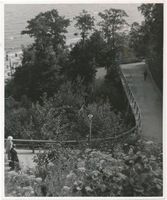 Rauschen Kr. Samland, Kreis Samland Rauschen Kr. Samland, Schlängelweg XVII Rauschen, Strand
