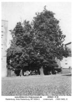 Rastenburg, Stadt, Kreis Rastenburg Lindenmarkt