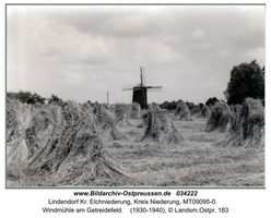 Lindendorf Kr. Elchniederung, Kreis Elchniederung 