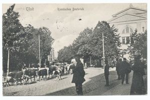 Tilsit, Stadt, Stadtkreis Tilsit Stolbecker Straße