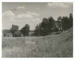 Bartendorf, Kreis Lyck Bartendorf, Landschaft südlich von Bartendorf in der Nähe des ehem. Heldenfriedhofes II Бартендорф, ландшафт южнее Бартендорфа вблизи бывшего кладбища героев, II