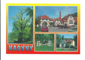 Cadinen, Kreis Elbing 