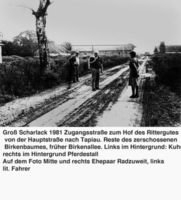 Groß Scharlack, Kreis Labiau 