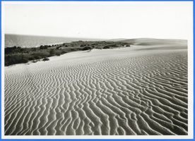  Frisches Haff bei Pillau III 