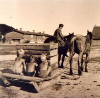 Waldau Kr. Samland, Ort, Kreis Samland 