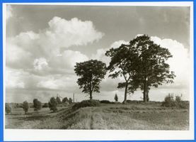  Tilsit, Landschaft östlich von Tilsit 