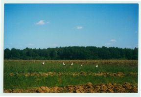 Bärslack, Kreis Gerdauen 