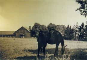 Adlig Linkuhnen, Kreis Elchniederung 