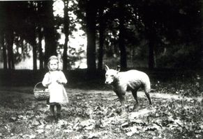 Waldau Kr. Samland, Ort, Kreis Samland 