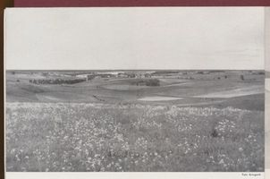 Ortelsburg, Stadt, Kreis Ortelsburg Ortelsburg, Landschaft bei Ortelsburg Ортельсбург, пейзаж под Ортельсбургом