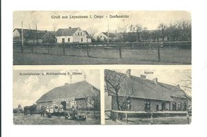 Leisuhnen, Kreis Heiligenbeil Leysuhnen, Dorfansicht, Kolonialwaren- und Mehlhandlung Jähnke, Schule 