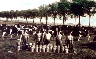 Waldau Kr. Samland, Ort, Kreis Samland 