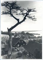 Nidden, Kreis Memel Nidden, Italienblick XXIX Nidden, Italienblick