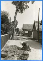 Gilge, Kreis Labiau Gilge, Dorfstraße Гильге, деревенская улица