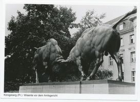 Königsberg (Pr.), Stadtkreis Königsberg 