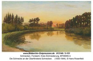 Schnecken, Forstamt, Kreis Elchniederung 